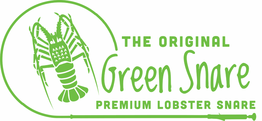 The Original Green Snare