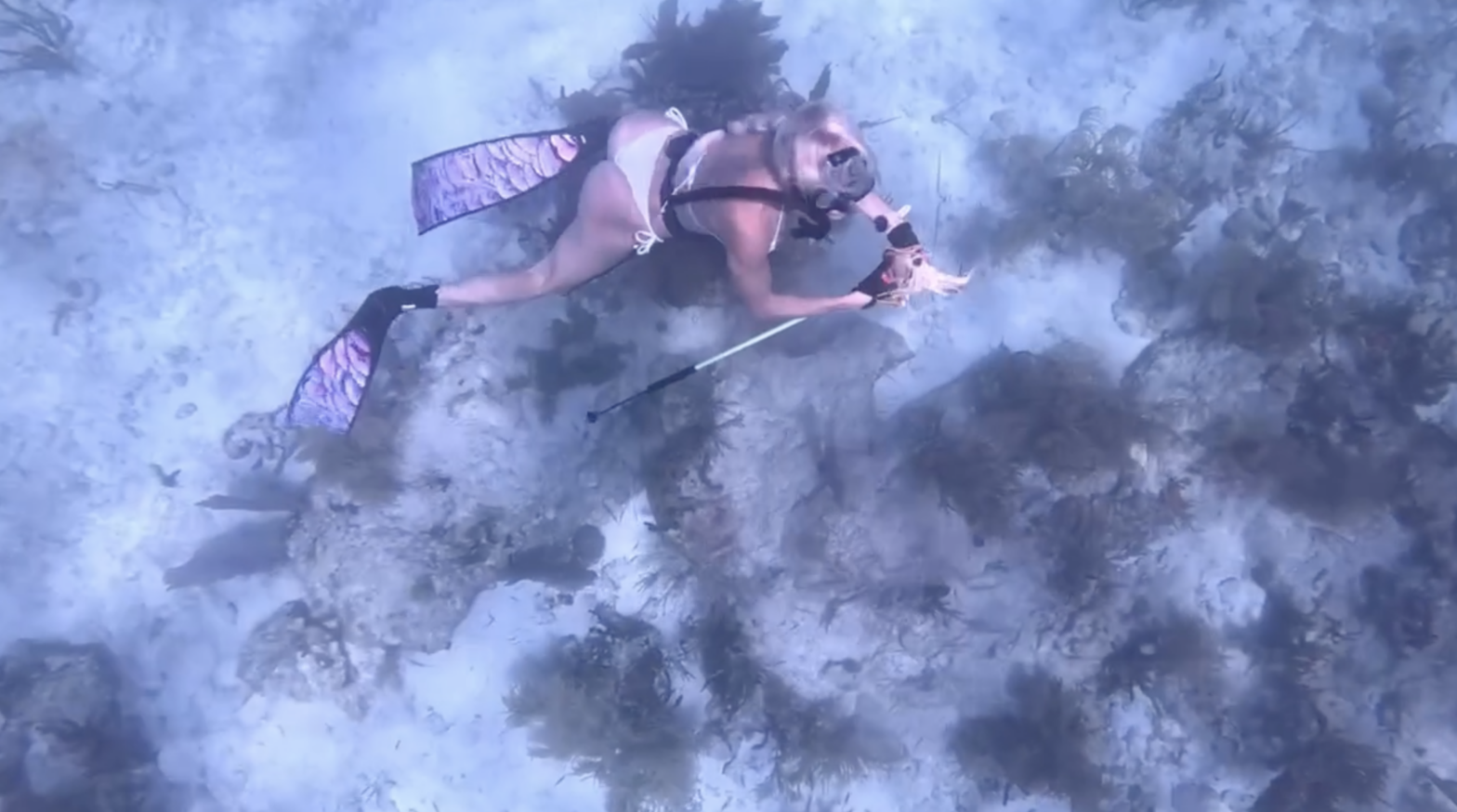 lobster snaring Florida Keys